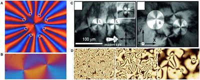 Topological Point Defects of Liquid Crystals in Quasi-Two-Dimensional Geometries